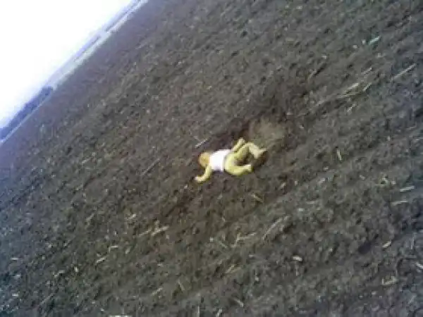 Ukrainian Govt release horrific pic of infant lying in a field, killed when rebels shot down plane